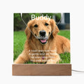Personalized Pet Memorial Acrylic Plaque & Paw Print Name Necklace – Custom Keepsake