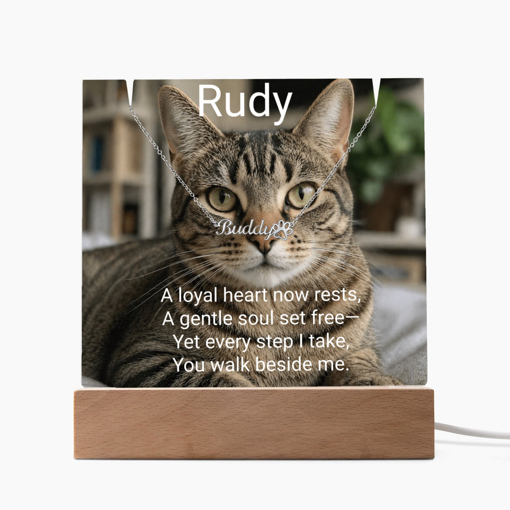 Personalized Pet Memorial Acrylic Plaque & Paw Print Name Necklace – Custom Keepsake Gift
