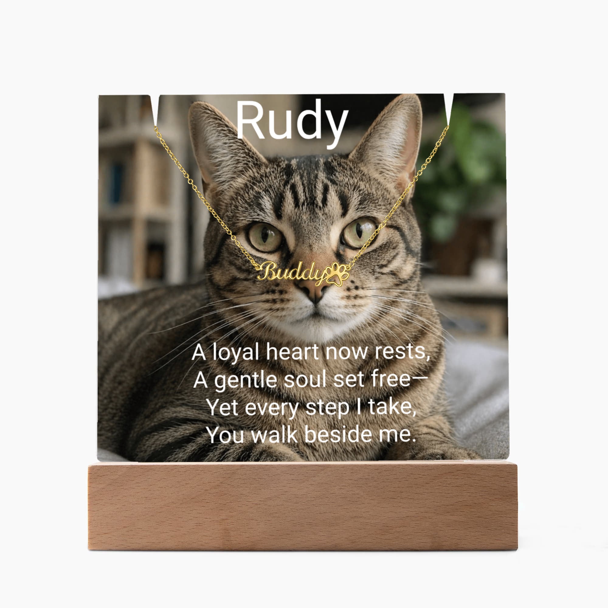 Personalized Pet Memorial Acrylic Plaque & Paw Print Name Necklace – Custom Keepsake Gift