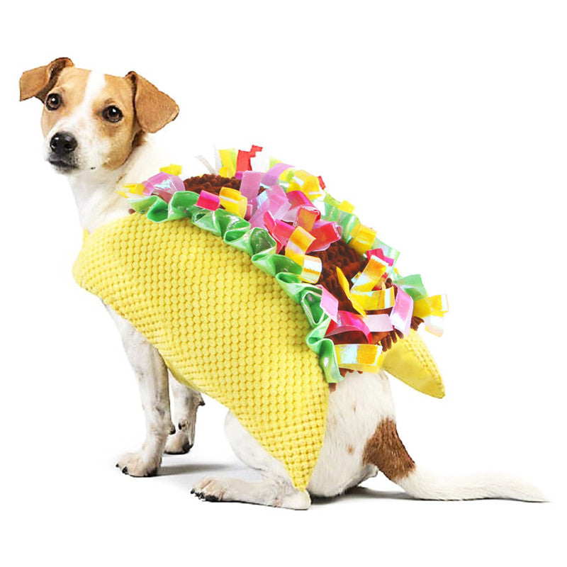 Teddy Corset Costume for Pets