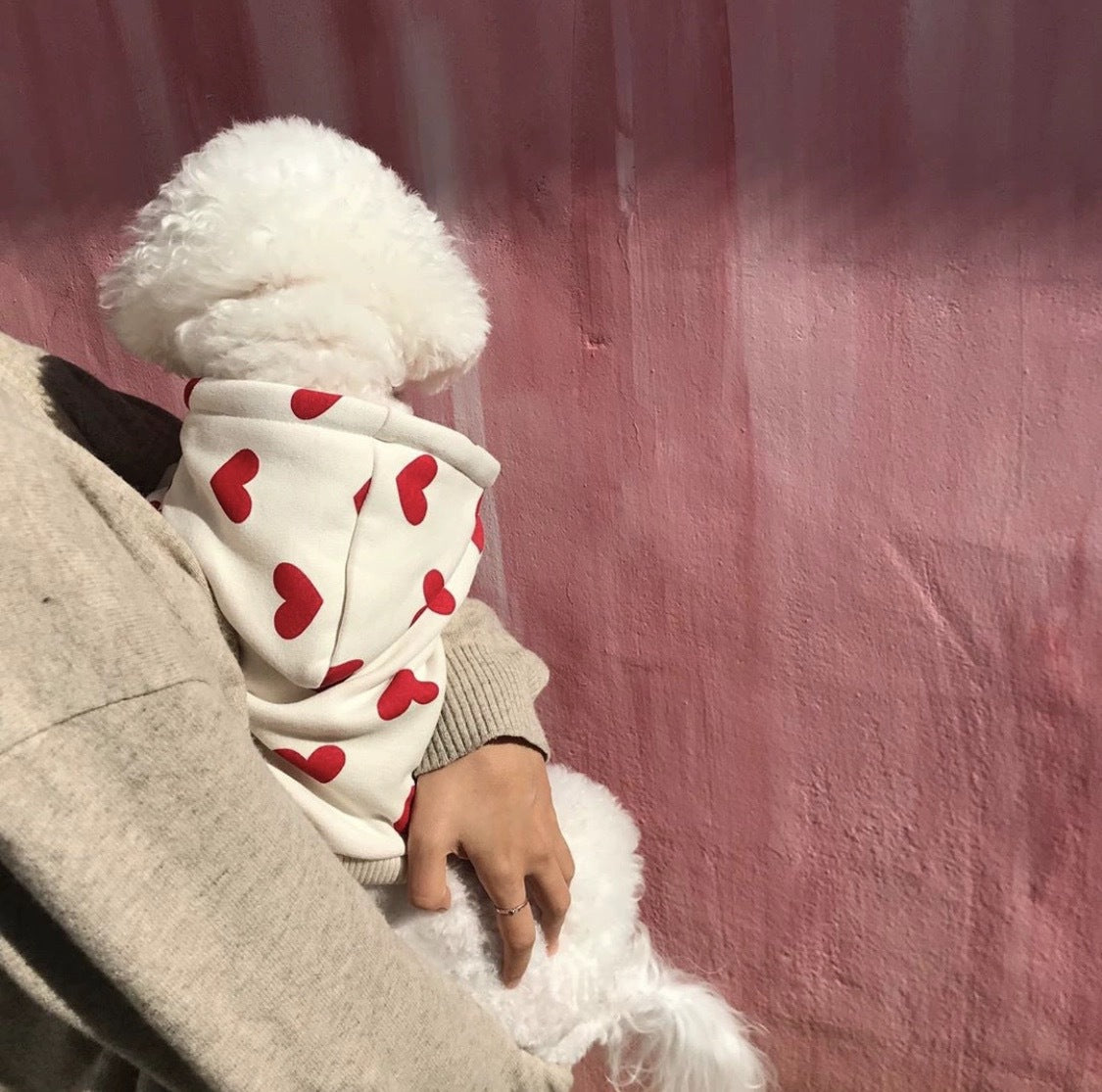 Printed Love Sweater for Pets